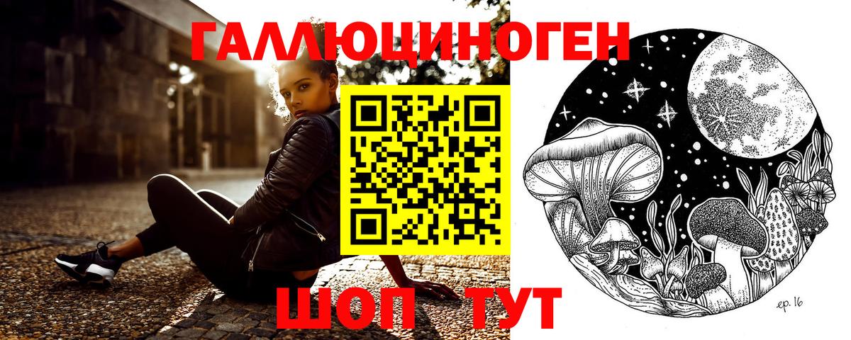 Тайшет  Псилоцибиновые грибы Cubensis  Вход с VPN  Псилоцибиновые грибы мухоморы 